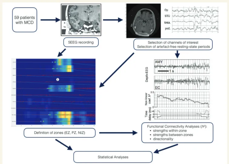 Figure 1 summarizes the methods that were used in this study.