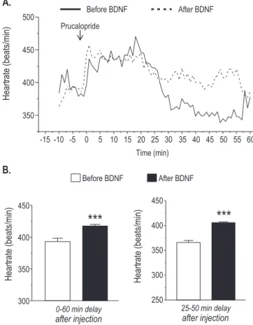Fig. 5. Effects of BDNF treatment on 5-HT 4 R-mediated cardiac function in healthy hearts