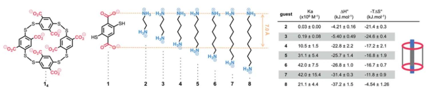 Fig. 1 Dyn[4]arene 1 4 , bisthiophenol 1, a , u -alkyldiammonium ions 2 – 8, and their respective thermodynamic binding parameters measured by ITC in 200 mM TRIS bu ﬀ er at a physiological pH of 7.4.