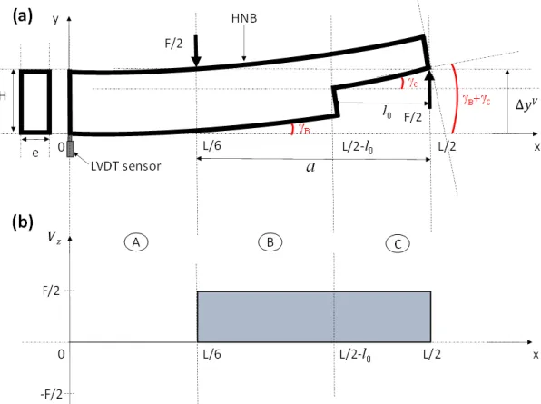Figure 1. (a) Half Notched Beam (HNB) in 4-points bending test. (b) Diagram of shear force 