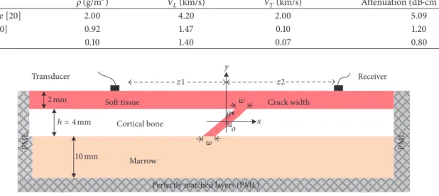 Table 1: Parameters of cortical bone and soft tissue. Tissue 