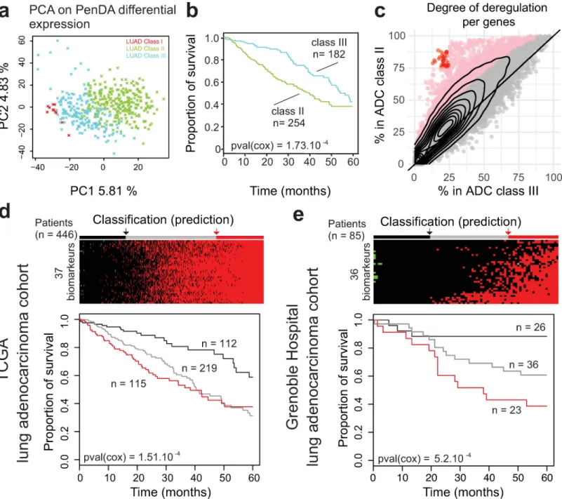 Fig 7. Upregulation of 37 genes in adenocarcinoma is a strong predictor of poor prognosis