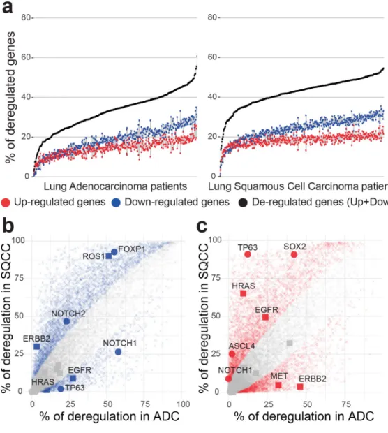 Fig 4. Overview of genetic deregulation in adenocarcinoma and squamous cell carcinoma