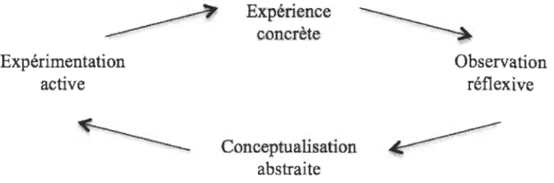 Fig ure 5.  Adaptation du modèle de Kolb (1984). 