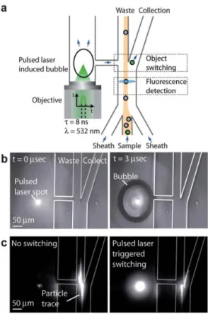 Fig 5. A pulsed laser, triggered by cells fluorescence detection, creates a bubble in a parallel channel,  pushing the target cell in the collection outlet