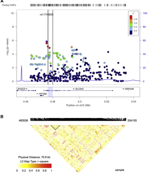 Figure 3. Association and Linkage Disequilibrium Information across SLC9A3 in the Canadian Gene Modifier Study Sample