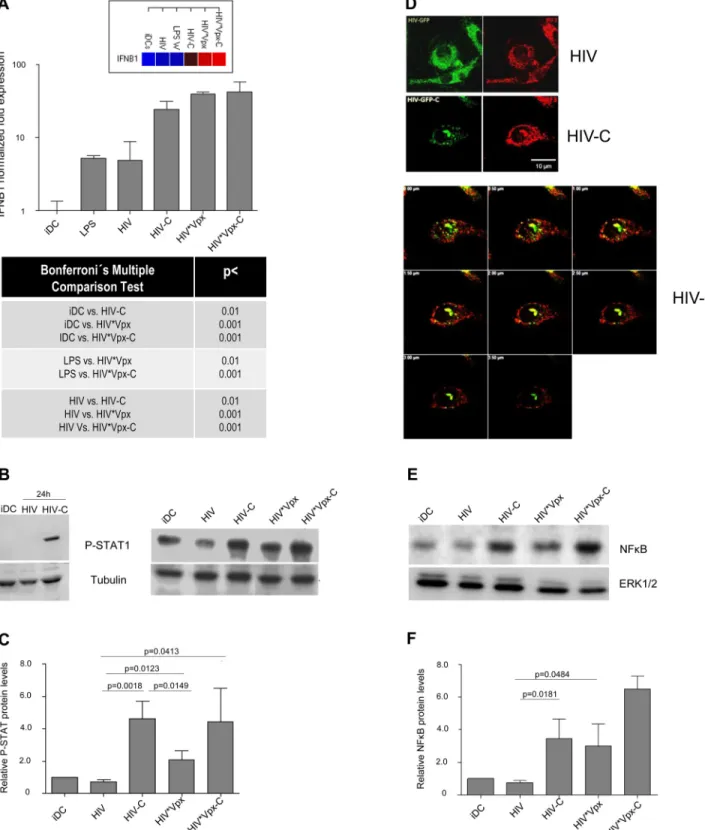 Fig 4. HIV-C activates type I IFN responses in DCs. (A) mRNA expression of IFNB1 is induced to significantly higher levels in DCs loaded with C- C-opsonized or Vpx-containing HIV (HIV-C; HIV * Vpx- or HIV * Vpx-C) in contrast to iDCs or non-opsonized HIV (
