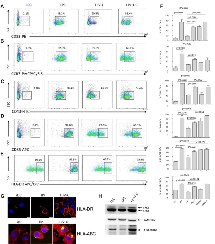 Fig 3. Complement-opsonization of HIV stimulates DC maturation and activation. DCs exposed for 48h to LPS (LPS), non-opsonized HIV (HIV-1) and C-opsonized HIV-1 (HIV-1-C) showed a highly activated and mature phenotype compared to control DCs (iDC) as measu