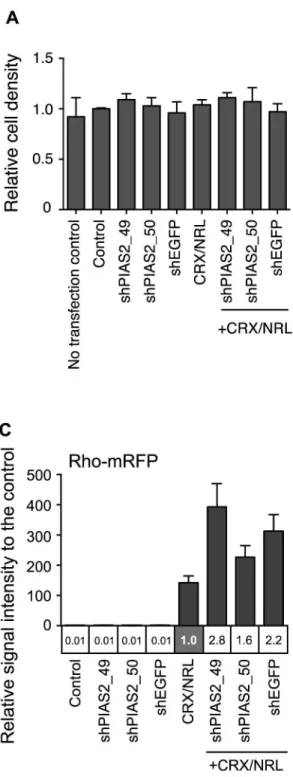 Fig 4. shRNAs do not regulate reporter activity by mediating CRX/NRL expression, cell density, and reporter stability.