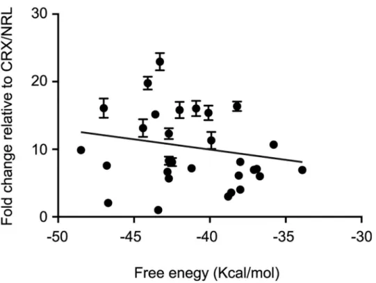Fig 6. shRNA-mediated rho-Gluc activity and thermodynamic stability. The minimum free energy of shRNAs and their effect on rho-Gluc activity were plotted