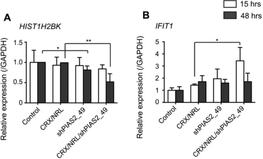Fig 9. shRNA transfection causes alteration of endogenous protein-coding gene expression
