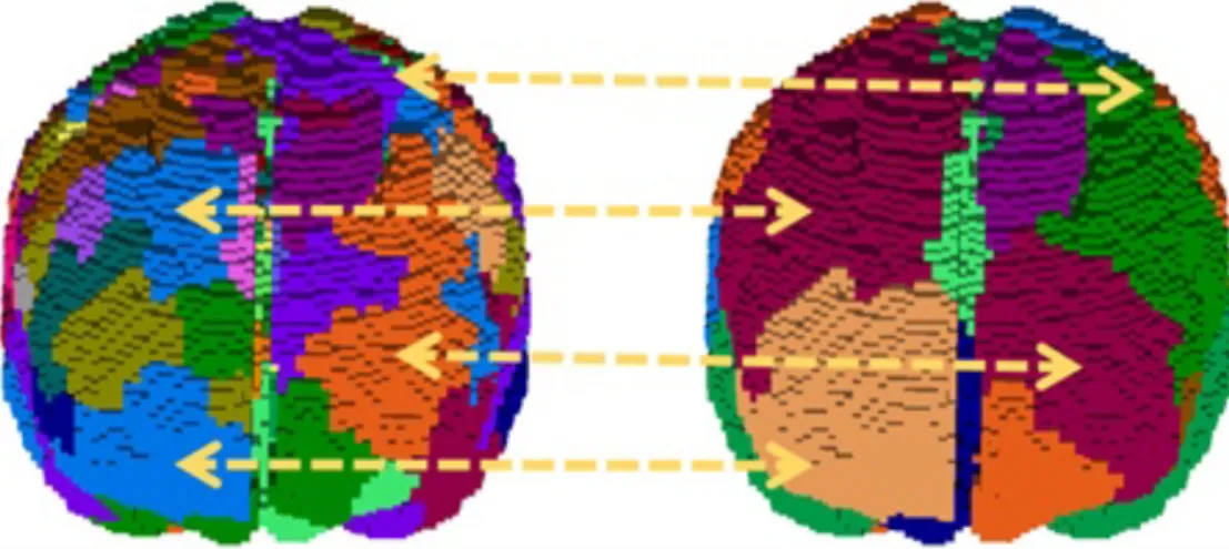 Figure 1. Parcellation of the brain using functional magnetic resonance imaging (fMRI)  data and a clustering algorithm