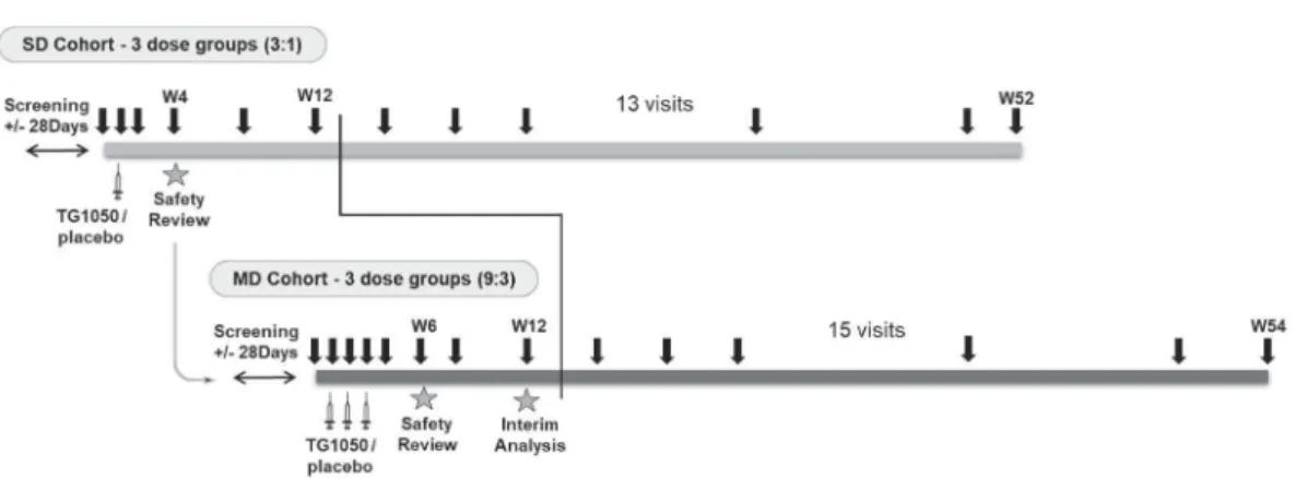 Figure 1. (a) Schematic representation of study design and conduct. Duration (52 – 54 weeks), vaccine administration (1 or 3, syringes) and blood samplings (black arrows) are indicated together with the number of patient ’ s visits (13 and 15 for SD and MD