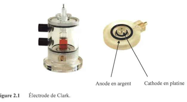 Figure 2.1  Électrode de Clark. 