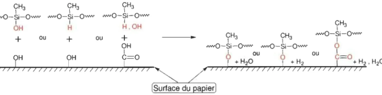 Figure 2.3  Ancrage  de  la  silicone  sur la  surface du  papier par des  liaisons covalentes 