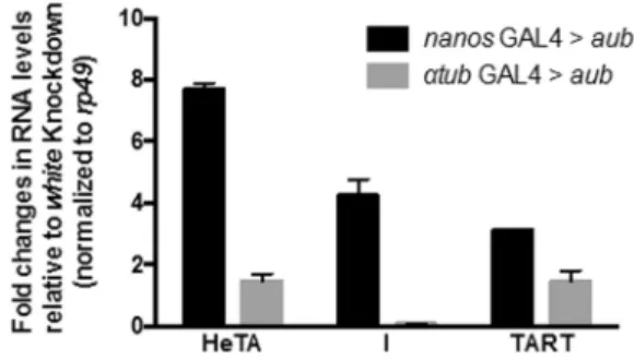 Figure 3. Knockdown of aub driven by either nos-Gal4 or tub-Gal4 driver has different impact on germline transposon de-silencing.