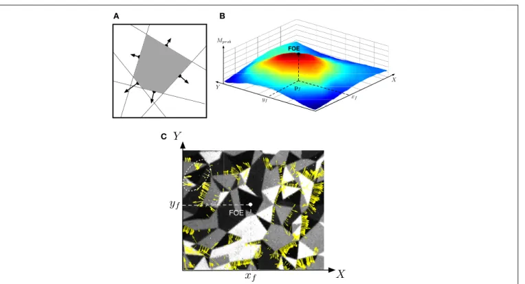 FIGURE 5 | Computation of the focus of expansion: (A) the focus of expansion lies under the normal flow, we can then vote for an area of the focal plane shown in (B) the FOE is the max of this area (C) Motion flow vectors obtained during a time period of  