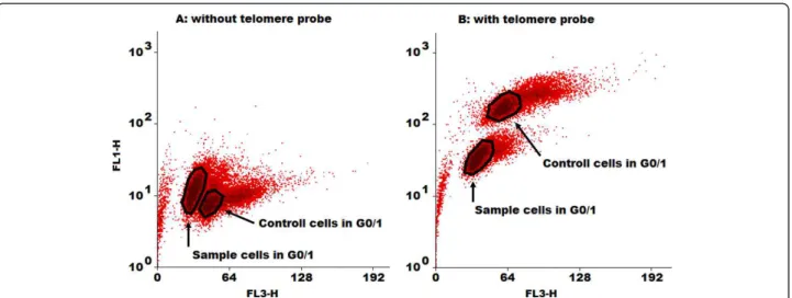 Figure 4 Telomere length of human satellite cells. Telomere length was measured by flow cytometry using fluorescence in situ hybridization without (A) or with the fluorescein-conjugated PNA probe (B)