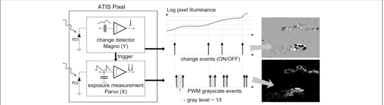 FIGURE 1 | Functional diagram of an ATIS pixel. Two types of asynchronous events, encoding change and brightness information, are generated and transmitted individually by each pixel in the imaging array.