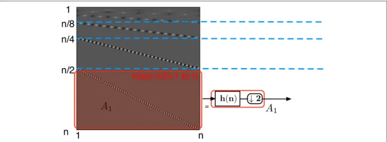 FIGURE 5 | Wavelet transform matrix at the first level. The left structure is a schematic of the transform matrix split into submatrix A i 