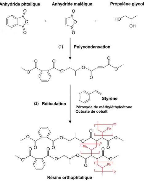 Figure 2.4. Exemple de réactions de synthèse et de réticulation d’une résine orthophtalique 