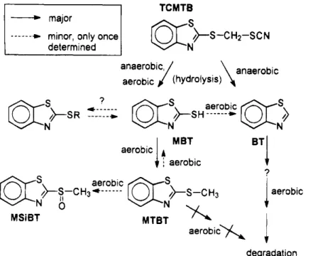 Figure 8   Voies métaboliques de dégradation du TCMTB  proposées par Reemtsma et al. 