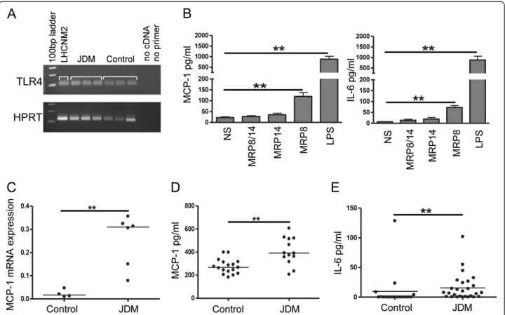 Figure 3 MRP8 drives production of the chemokine MCP-1 from human skeletal muscle. (A) Expression of TLR4 mRNA (upper panel) by RT-PCR in human skeletal myoblasts (LHCNM2) and muscle tissue from JDM and controls