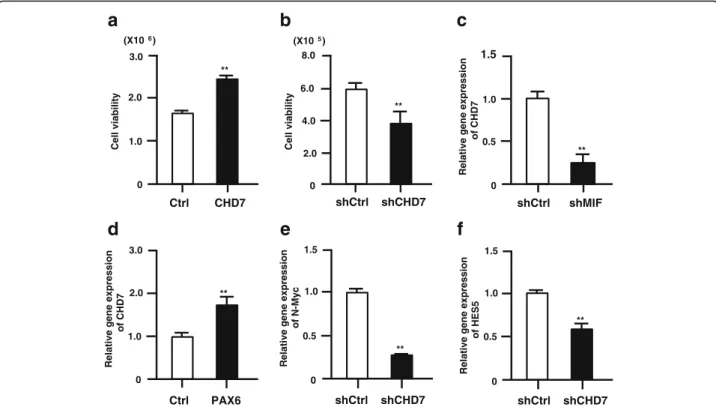 Fig. 6 CHD7 signaling cascade in human ES-NSPCs. a, b, Over-expression of CHD7 increases cell proliferation in human ES-NSPCs 5 days after transfection (a)