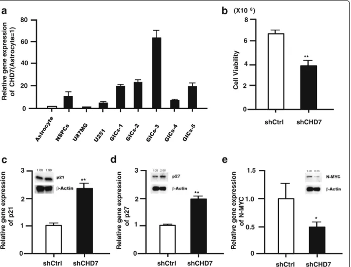 Fig. 7 Functional analysis of CHD7 in glioma tumor initiating cells. a, Relative gene expression level of CHD7 was evaluated in GICs, NSPCs and glioma cell compared to astrocytes by qRT-PCR