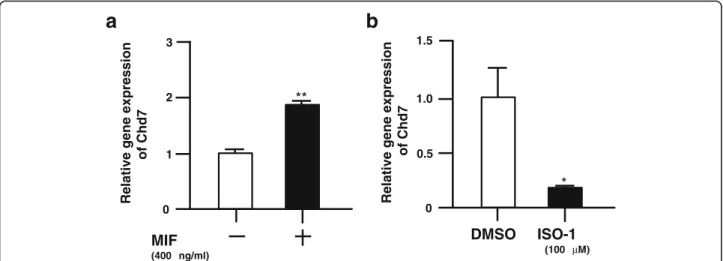Fig. 1 MIF regulates gene expression of Chd7 in mouse NSPCs. a, MIF treatment (400 ng/ml) for 24 h increases Chd7 gene expression