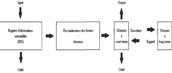 Figure  1.  Modèle d'Atkinson et Schiffrin (1968). Modèle du  traitement de l 'information 