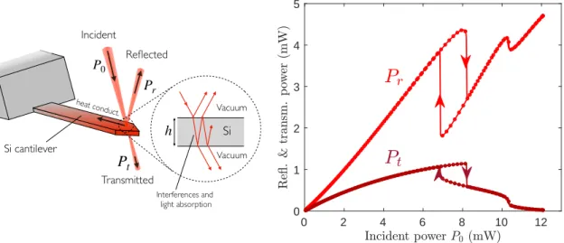 Figure 1: Measured reflected (P r ) and transmitted (P t ) optical powers as a function of the incident one (P 0 ) of a laser beam (641 nm) focused at the free end of a silicon cantilever (C14, see text) in vacuum