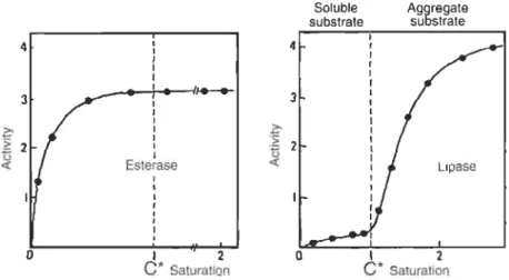 Figure 1.8  Différence de cinétique enzymatique entre les  carboxylesterases et les  lipases