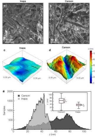 Fig. 4. Surface roughness analysis. (a,b) SEM images of Canson r (a) and Inapa (b) papers [Supra 55, VP Zeiss].