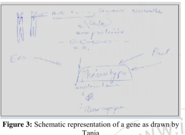 Figure 3: Schematic representation of a gene as drawn by  Tania 
