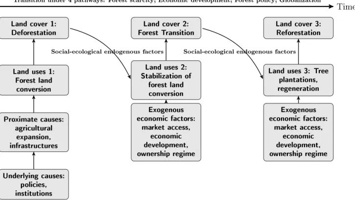 Figure 2: LUCC approach, deforestation theory and forest transition theory Land cover 2: Forest Transition Land uses 2: Stabilization of forest land conversionLand cover 1: