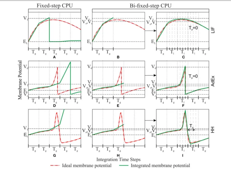 FIGURE 3 | Comparison between fixed-step and bi-fixed-step integration methods in CPU for LIF, AdEx, and HH models