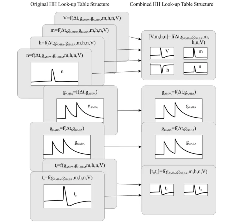 Figure 1. The combined look-up tables are described as follows (see Appendix A for further details about neural model descriptions):