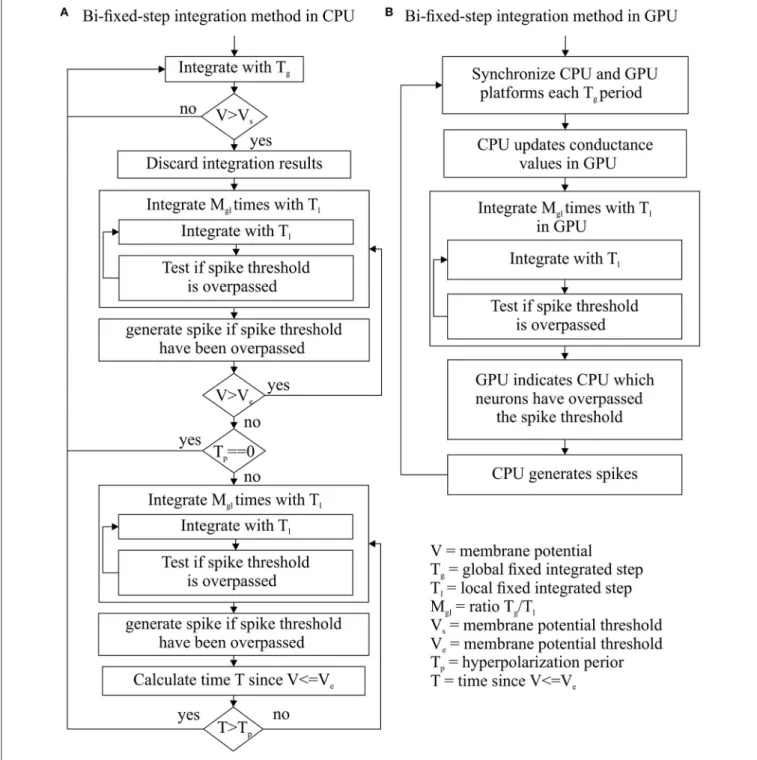 FIGURE 2 | Bi-fixed-step integration method flow diagram for CPU (A) and GPU (B) platforms