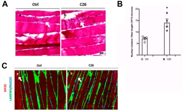 Figure 2. Cont.