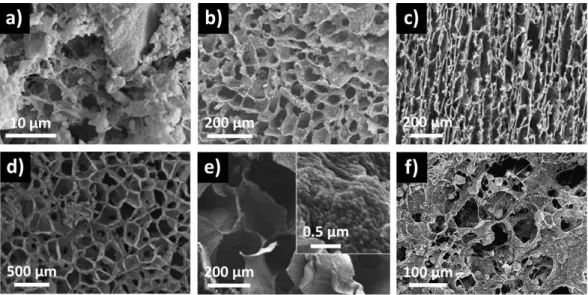 Figure 3. SEM micrographs of bioactive glass particles-polymer composites made by  thermally-induced phase separation (TIPS), with poly( L -lactide), [20] (a) and [63] (b); 