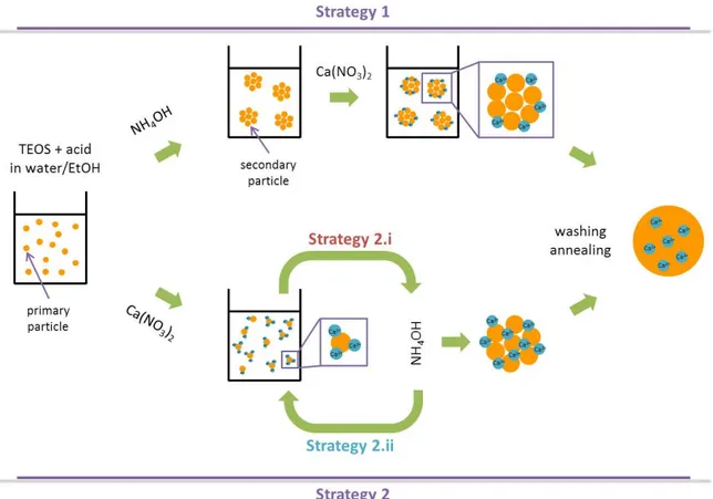 Figure 1. Schematic representation of the different strategies to synthesize binary bioactive glass  nanoparticles (SiO 2 -CaO)