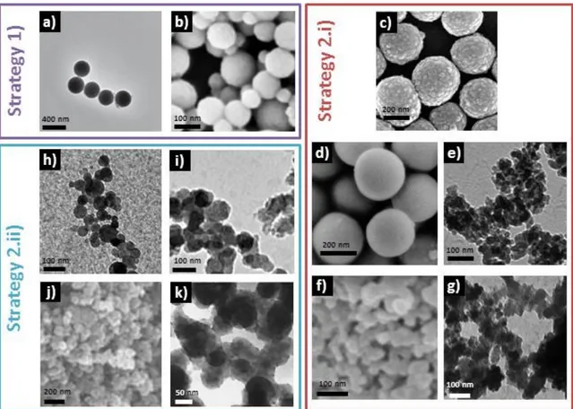 Figure 2. Selection of TEM or SEM images of bioactive glass nanoparticles synthesized by different  groups