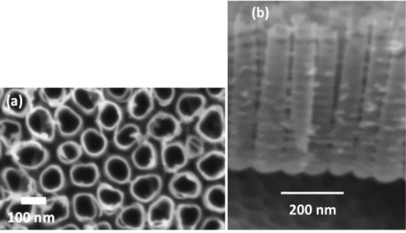 Figure 2 shows SEM images of the TiO 2  nanotubes obtained by anodizing a Ti foil. We observe ordered nano- nano-tube arrays grown on top of the Ti foil with an oxide barrier layer separating the nanonano-tubes from the titanium  foil