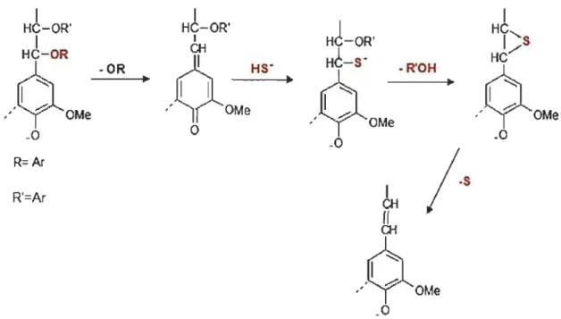 Figure 3-10  Exemple de coupure  de  liaisons  a-Q-4  et  ~-Q-4  de la lignine  [26]. 