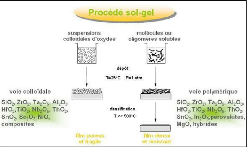 Figure I-14 : Les deux voies de synthèse dans le processus sol-gel. 