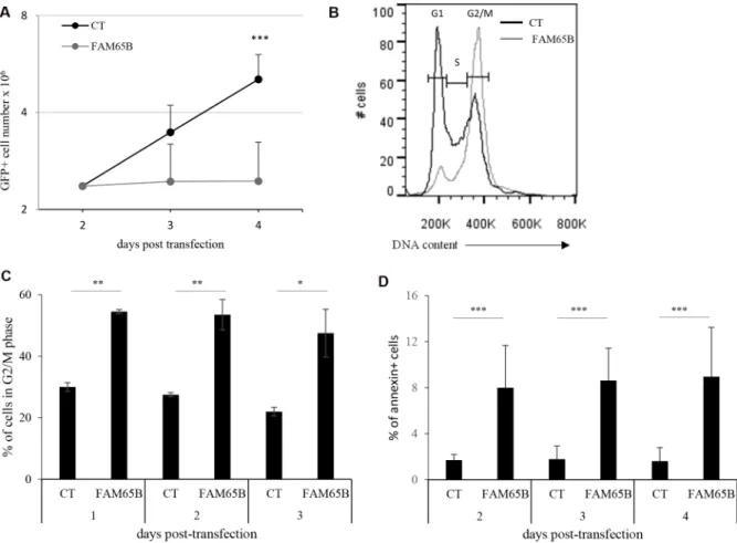 Figure 1: FAM65B expression inhibits cell proliferation by perturbing mitosis stage.  (A) Jurkat cells were transfected either  with GFP or FAM65B fused with GFP expression vectors and their proliferation was measured by counting the total viable cell numb