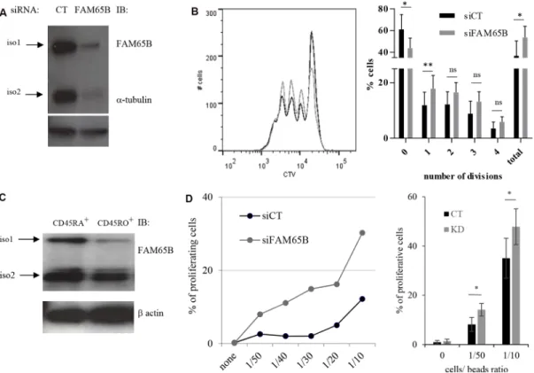 Figure 5: FAM65B expression is inversely correlated with the T cells activation threshold
