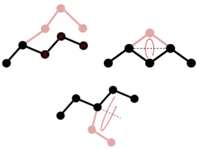 Figure 2.5 – Illustrations des mouvements Monte Carlo de recroissance, flip et pivot sur un alcane linéaire.