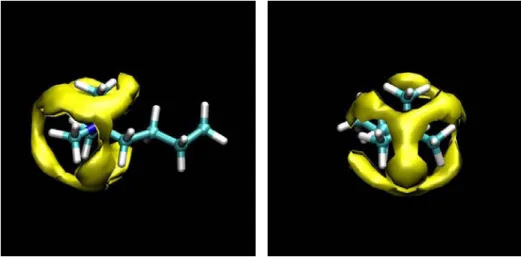 Figure 3.6: Spatial distribution functions for the probability to find the SO – 3 group around the N(CH 3 ) 3 group of the cation: frontal and lateral view.